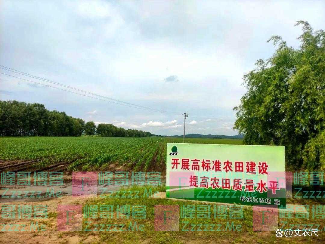 菜地、林地、老宅基地统统种粮？耕地利用再升级，随意种时代结束