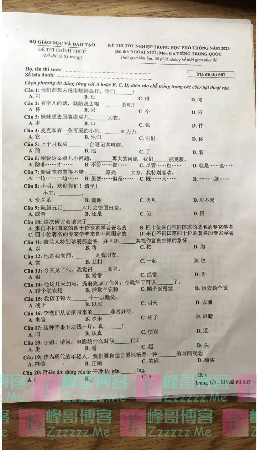 越南高考中文题冲上热搜！网友：原来看得懂完型是这种感觉