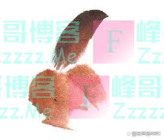 一笔一画学画麻雀，初学者看过来