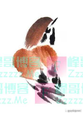 一笔一画学画麻雀，初学者看过来