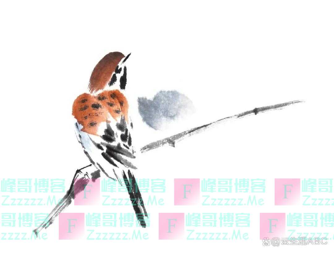 一笔一画学画麻雀，初学者看过来