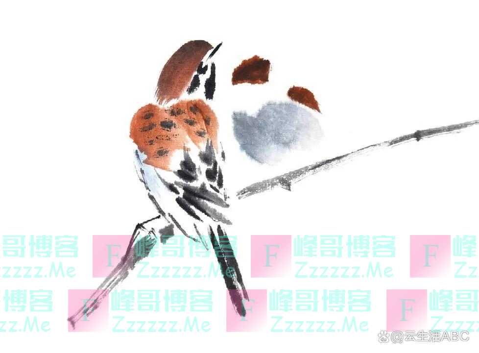 一笔一画学画麻雀，初学者看过来