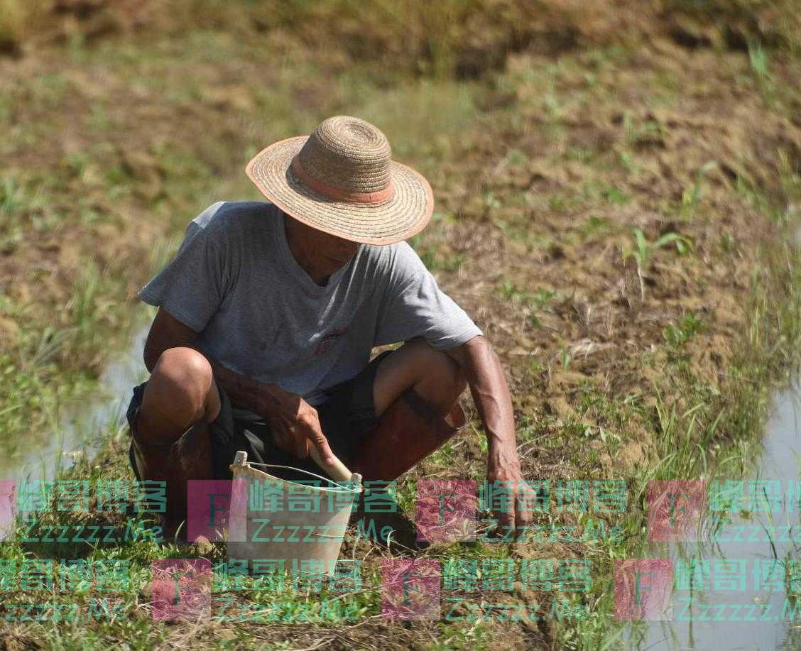 以前农村没空调没风扇，夏天是怎么过来的？听农村70岁老人分享