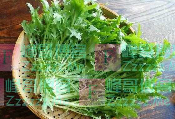 中老年生活别太节俭，多吃5种高叶酸菜，补营养或对身体有好处