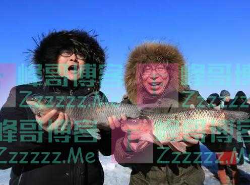 五种鱼赶紧撤下饭桌，堪称重金属的“窝”，鱼贩子：知道越少越好