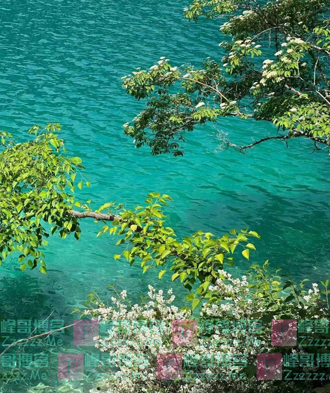 四川夏天的山水简直一绝，开始摇人去探索