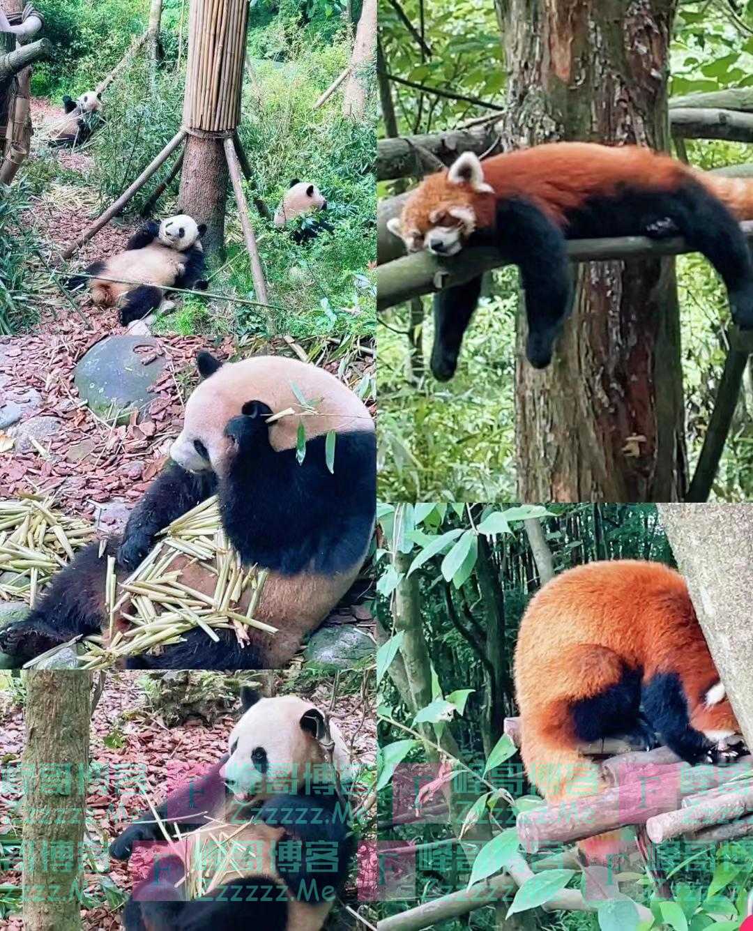 四川夏天的山水简直一绝，开始摇人去探索