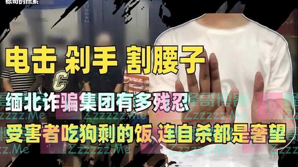 为何中国不出兵剿灭缅北？幕后三大原因，看完令人恍然大悟