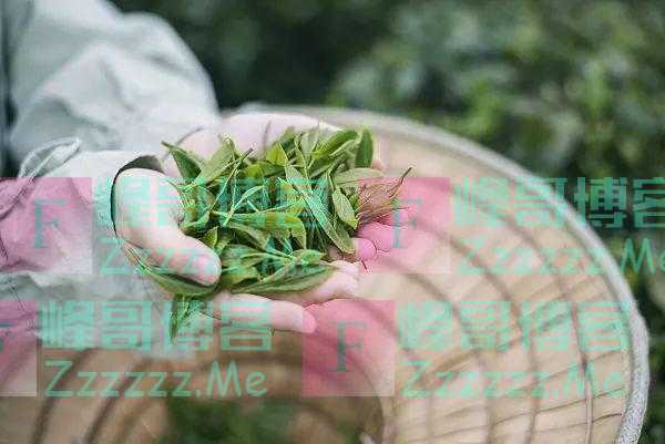 研究发现：喝茶有助降低心血管病风险，但这8种茶最好别喝