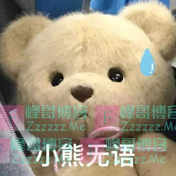 杭州小熊被指“人里人气”！网友：你是忘了会叉腰会揣手的熊猫了？