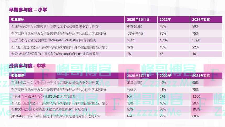 世界杯赛场上的差距，我们在英格兰女足发展报告中找到答案