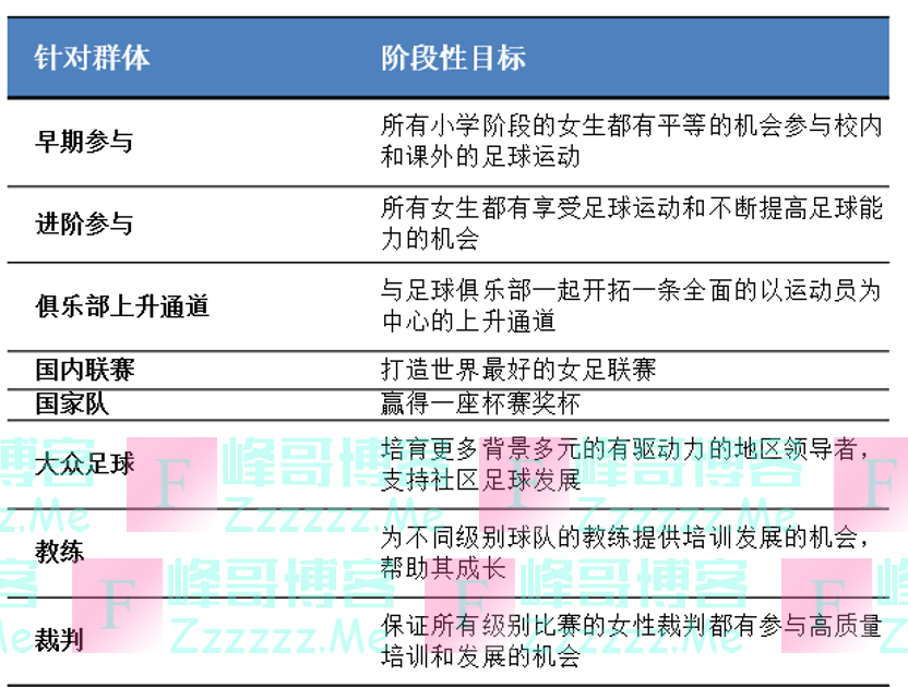 世界杯赛场上的差距，我们在英格兰女足发展报告中找到答案