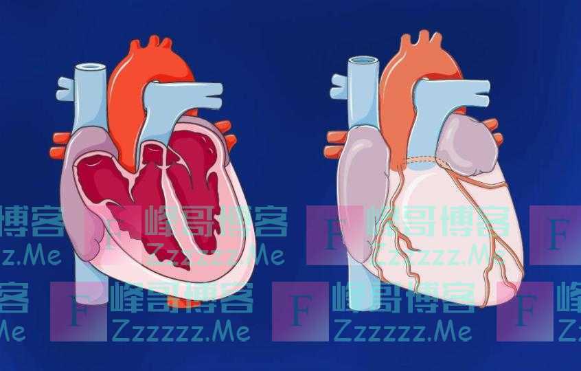 心脏决定寿命？建议中老年：别太节俭，多吃4物，或让心脏更年轻