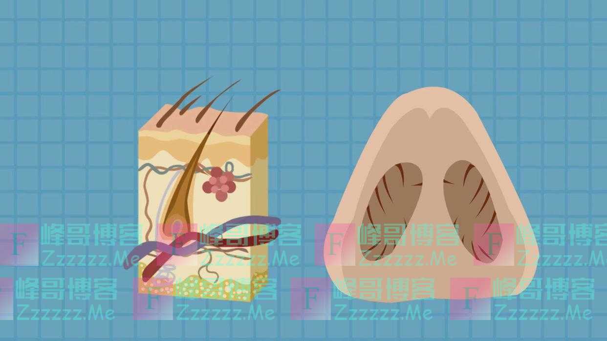 鼻毛外窜的男性，有何不同之处？鼻毛变白暗示什么？看完涨知识了