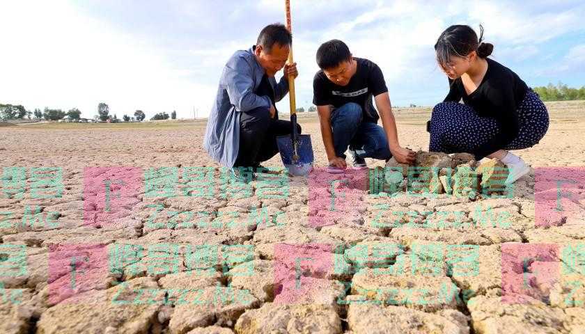 西北旱情仍在持续：甘肃损失超21亿，未来10天无明显降水