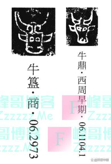 啥？古人造字的时候，居然造“错”了这几个字？！