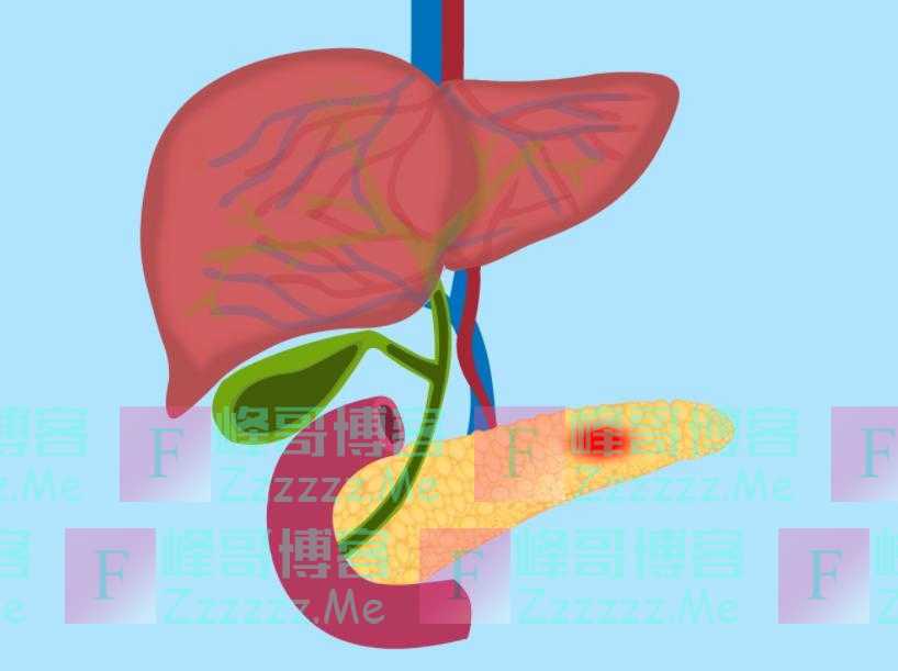 血脂高不能吃面条？医生忠告：若想血脂稳定，尽量少吃这3种素食