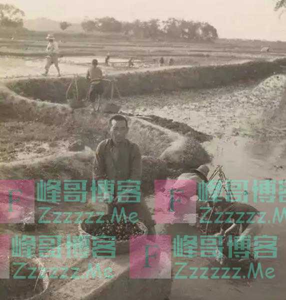他是粟裕的老排长，1955年对军衔不满，罗荣桓：先不要给他授衔