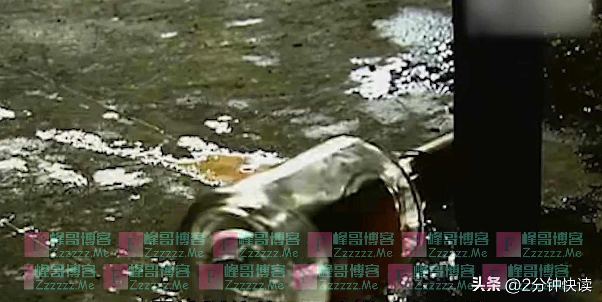妻子每晚都去打麻将,却从来不输钱,丈夫在自家地窖找到原因