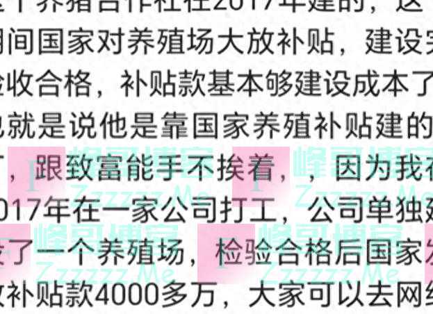 真是闹大了!书记与妇女主任除了是板凳上的朋友,还开养猪场
