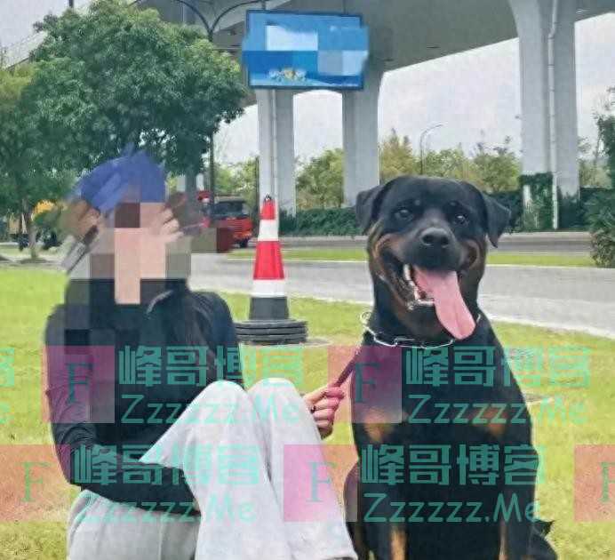 咬人黑犬主人身份曝光,已抓获,狠狠打脸一些爱狗人士的脸