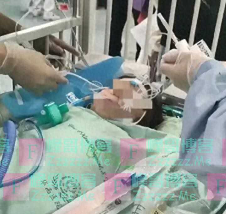 咬人黑犬主人身份曝光,已抓获,狠狠打脸一些爱狗人士的脸