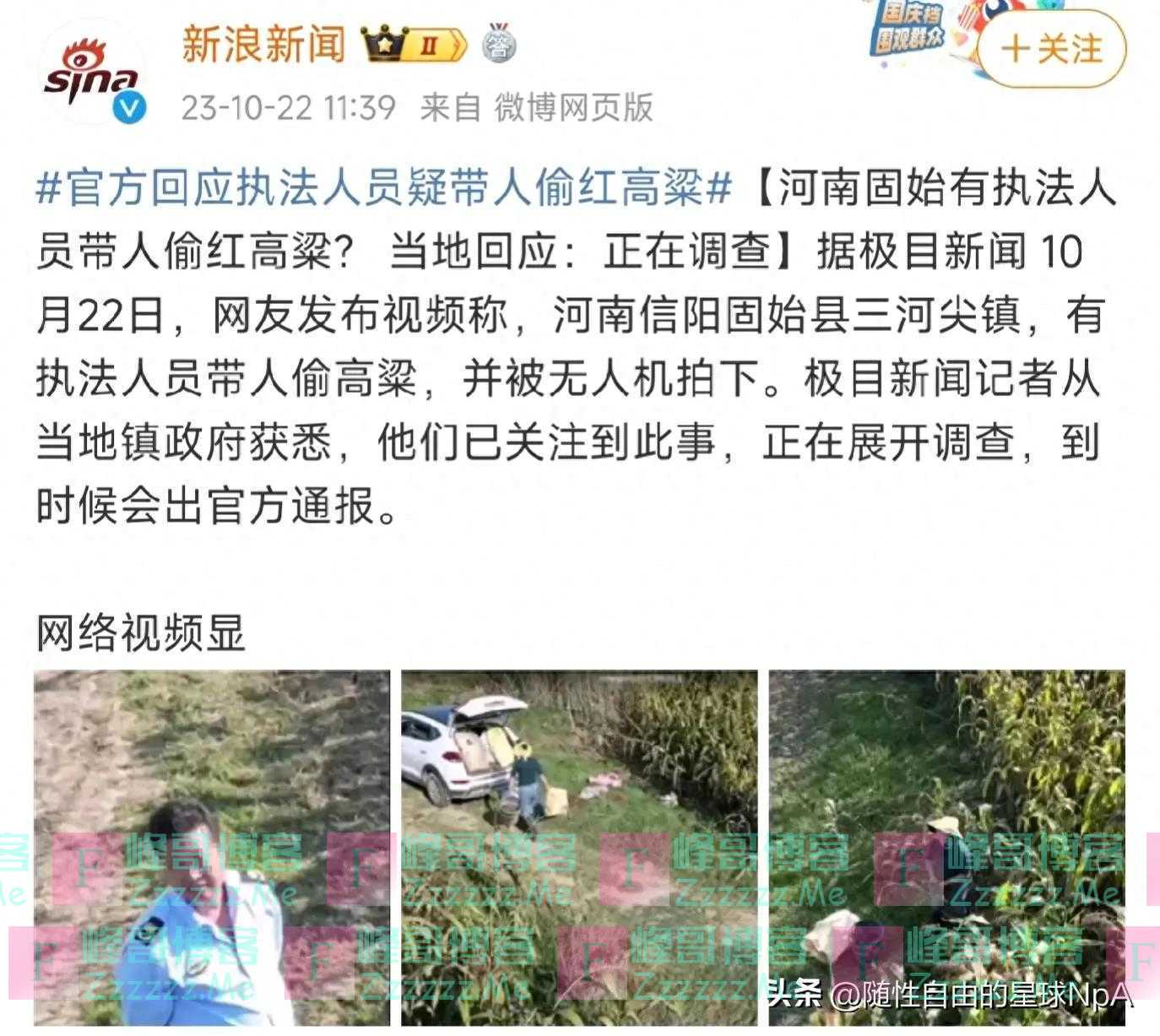 闹大了！河南执法人员带人偷红高粱被抓拍！网友辣评：从上到下