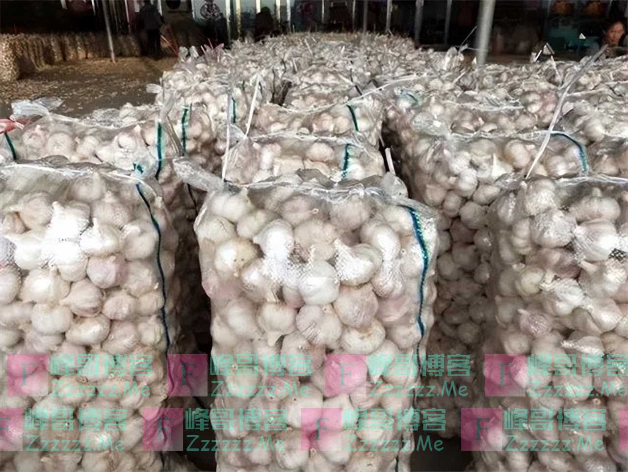 河南夫妇花170万,囤493吨大蒜放冷库,申请出库却被告知:全被卖