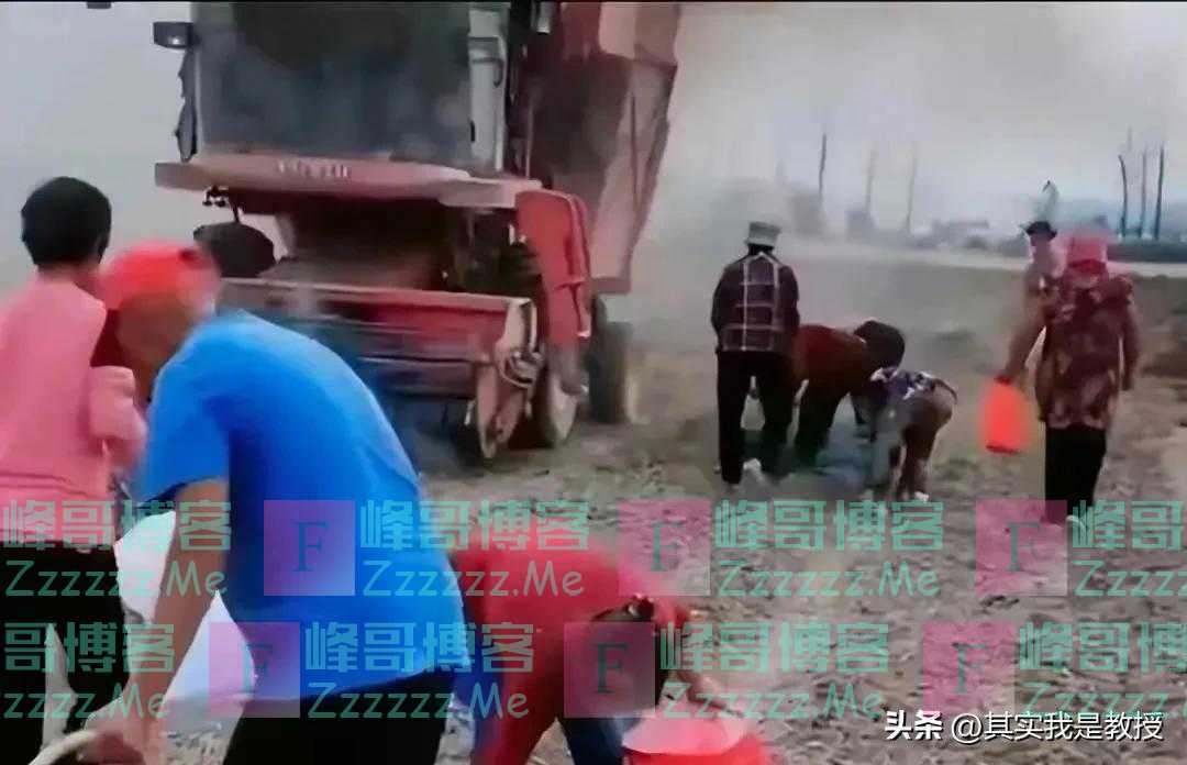 河南一老人捡花生被卷入收割机:老人被打成肉沫,司机或将坐牢!
