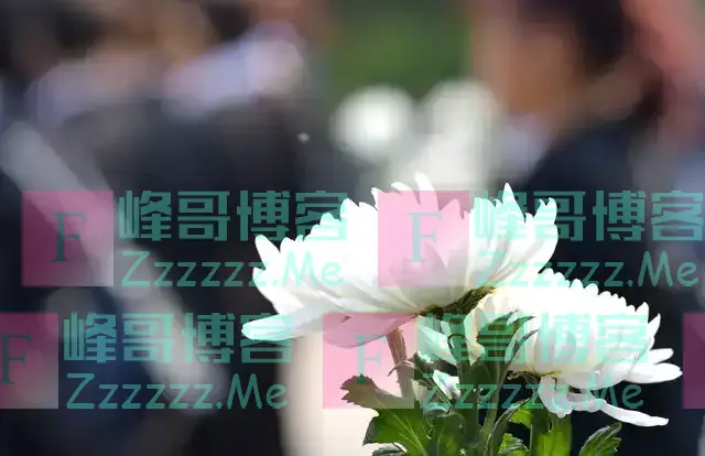 今年清明不一般，二百年不遇，无论多忙，提醒: 4人清明上坟要躲坟