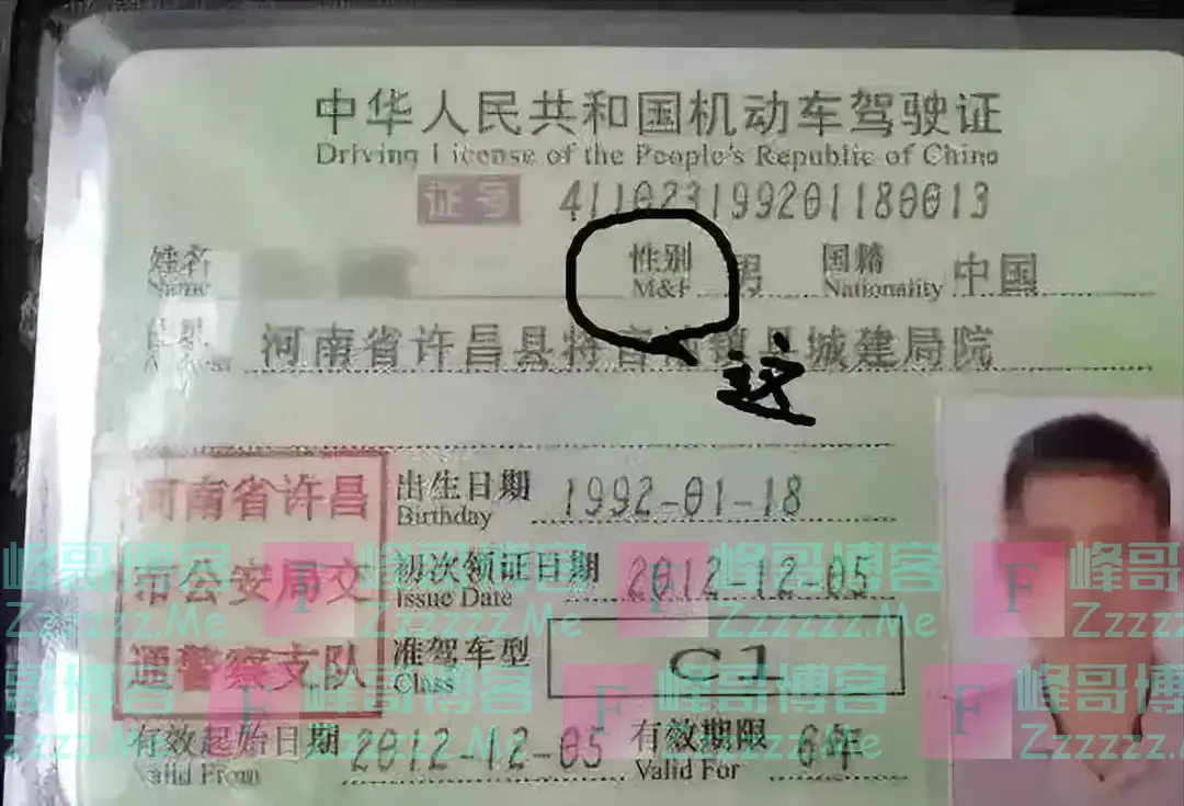 我国驾照上存在的“漏洞”,原本无人注意,直到被一个外国人指出