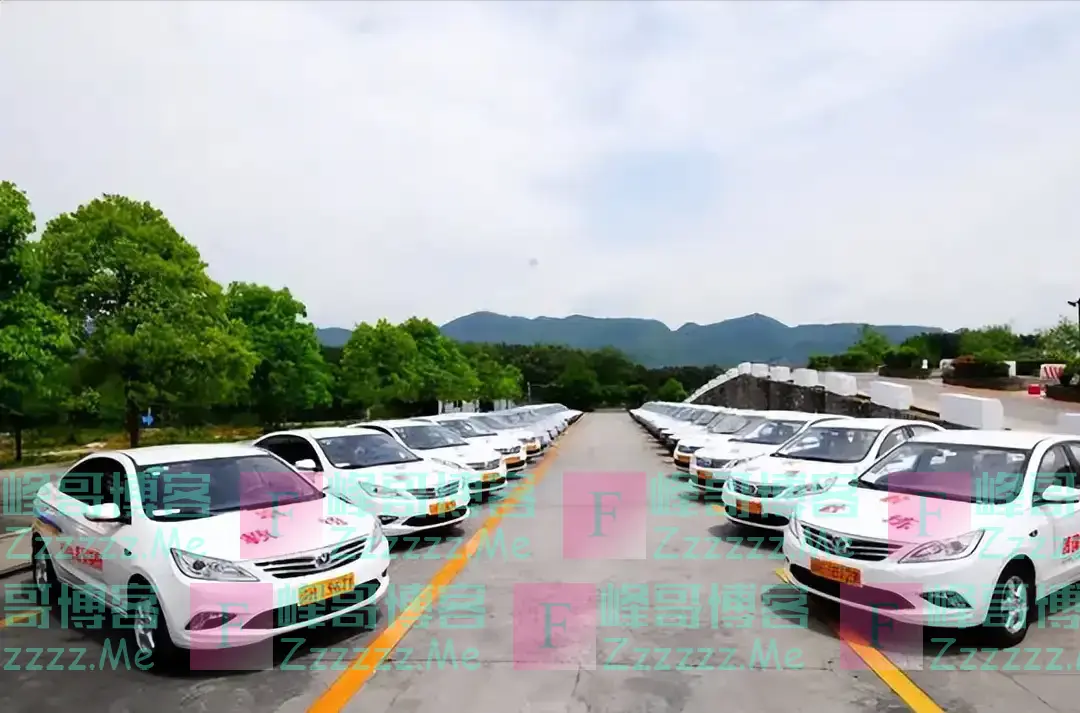 我国驾照上存在的“漏洞”,原本无人注意,直到被一个外国人指出