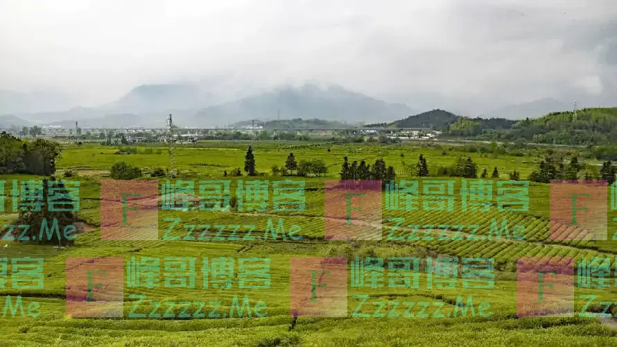 不只是日本,中国也有2个地方正在“下沉”?其中一处已快要消失