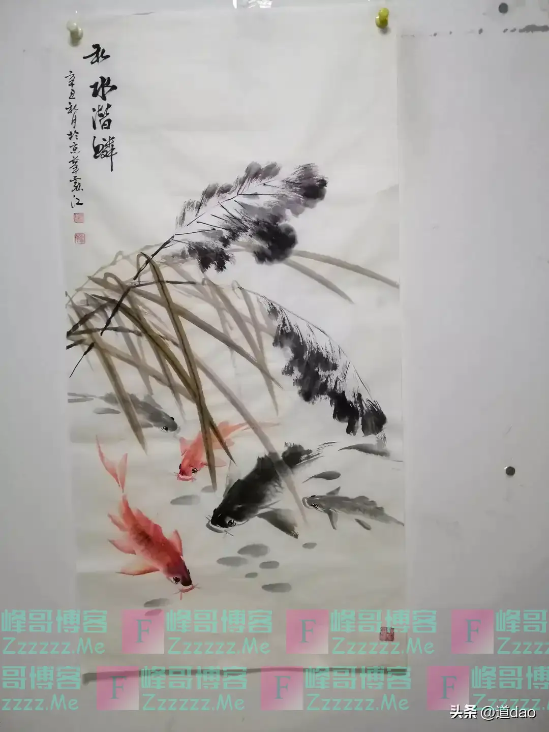 2024款赛那来了与画家村的故事(5)