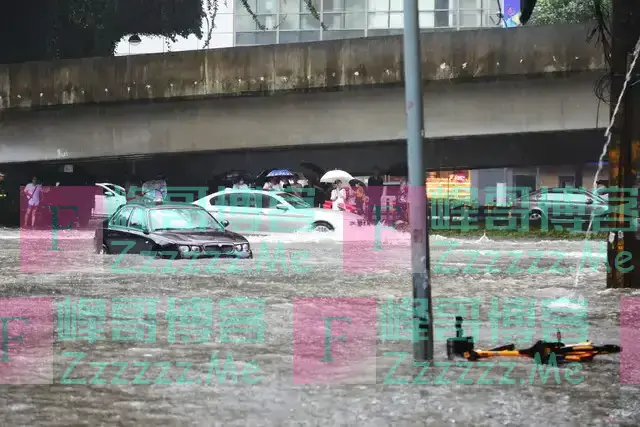 广东的这场暴雨，把新能源的底裤撕了个精光，车主是苦不堪言