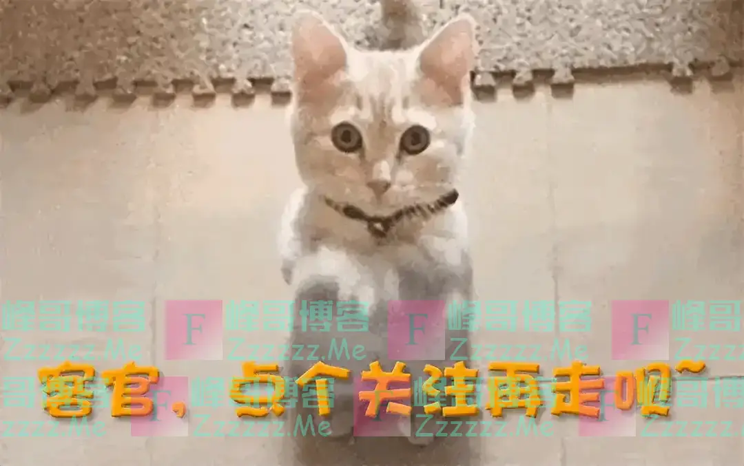 别再可怜李咏了!离世5年后医生曝光死亡真相,葬身美国另有隐情