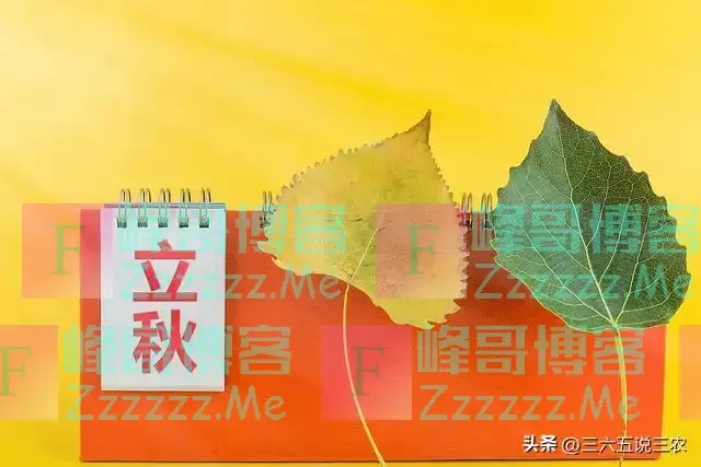 “上午立秋，冷飕飕；下午立秋，热死牛”，今年立秋在哪？早了解