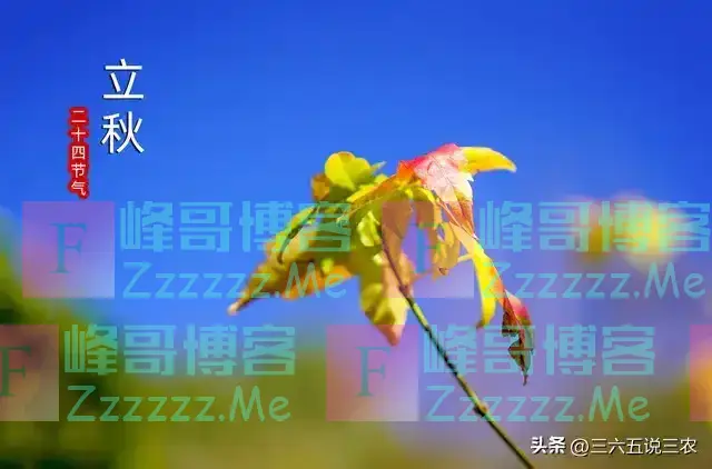 “上午立秋，冷飕飕；下午立秋，热死牛”，今年立秋在哪？早了解