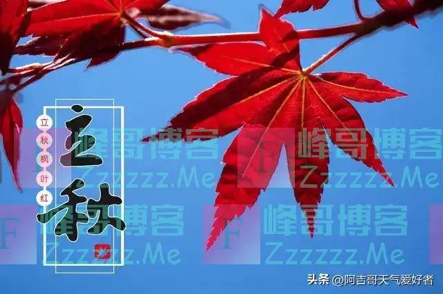 “公秋爽,母秋凶”,2024年哪天立秋?公秋还是母秋?答案来了!