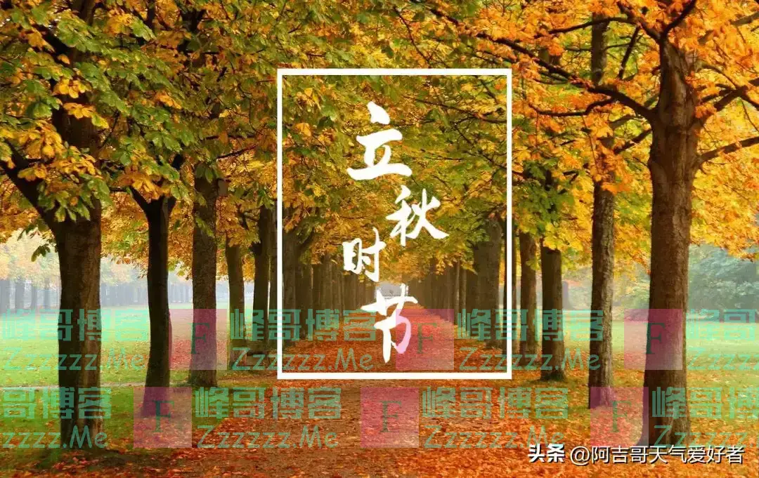 “公秋爽,母秋凶”,2024年哪天立秋?公秋还是母秋?答案来了!