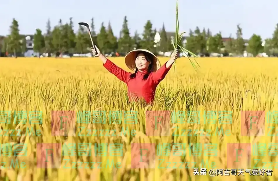 “公秋爽,母秋凶”,2024年哪天立秋?公秋还是母秋?答案来了!