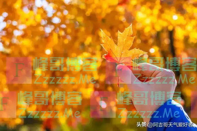 “公秋爽,母秋凶”,2024年哪天立秋?公秋还是母秋?答案来了!