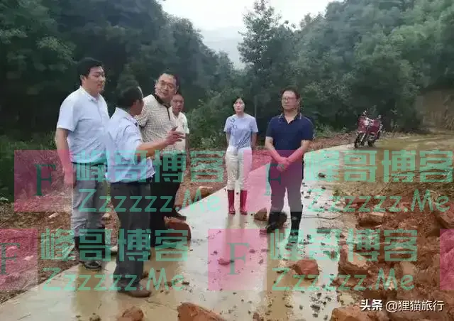 李佩霞很会穿搭,下乡下田也要美美的,人群里一看就有气质