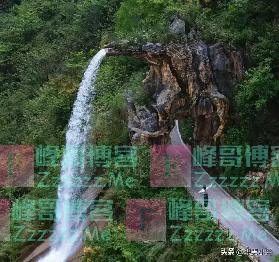 广东4男子自驾云南偶遇彝族婚礼,随礼800吃席,走时却被主人拦住