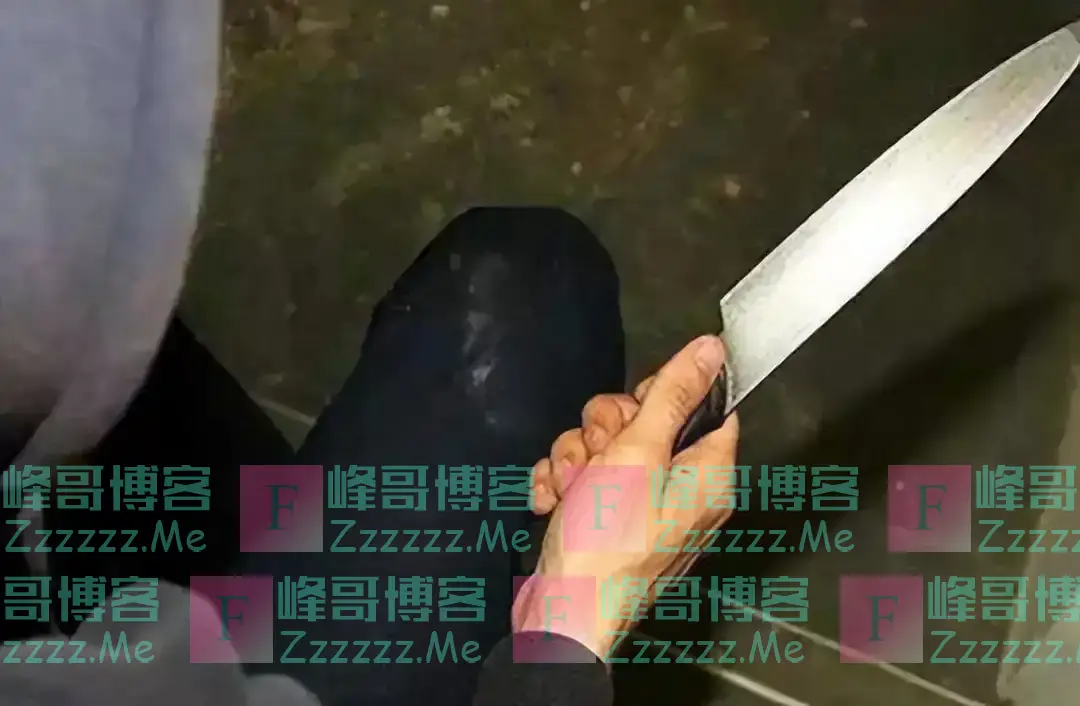 11年,内蒙一女子每晚打麻将,从来没输过钱,丈夫在地窖找到原由