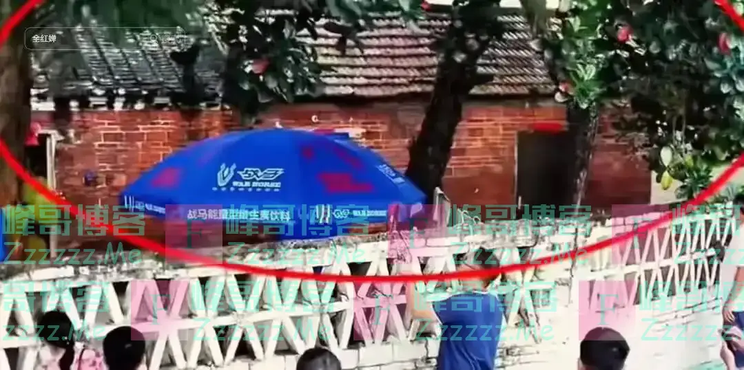 大伯将房子借给全红婵一家住,成名后的全红婵如何回报大伯?