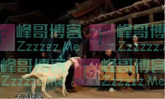古代最“温柔”的酷刑:用动物的器官行刑,让人在欢乐中死去