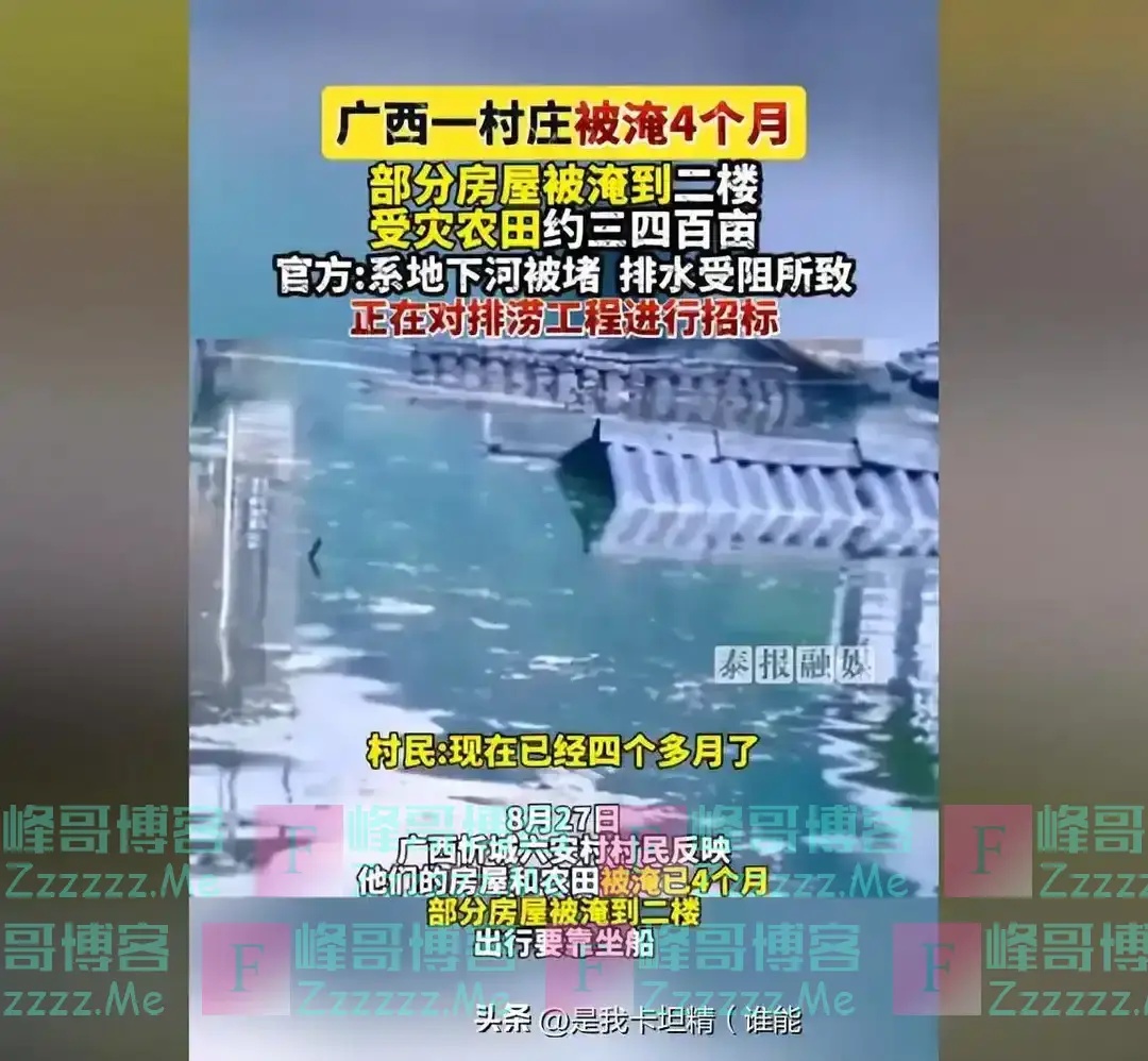 炸裂!广西一村庄被淹长达四个月,竟无一人知晓!官方回应被骂惨