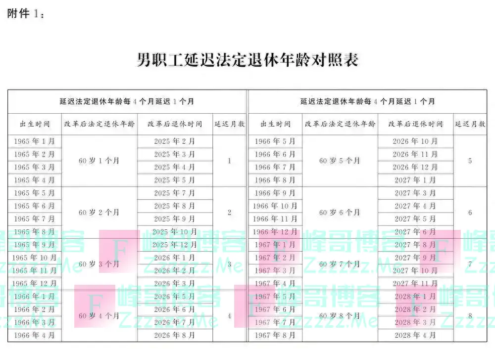 全国人民代表大会常务委员会关于实施渐进式延迟法定退休年龄