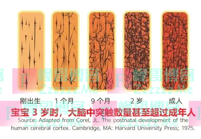 宝宝出生时“几斤几两”,暗示智商的高低?医生:最佳标准在这里